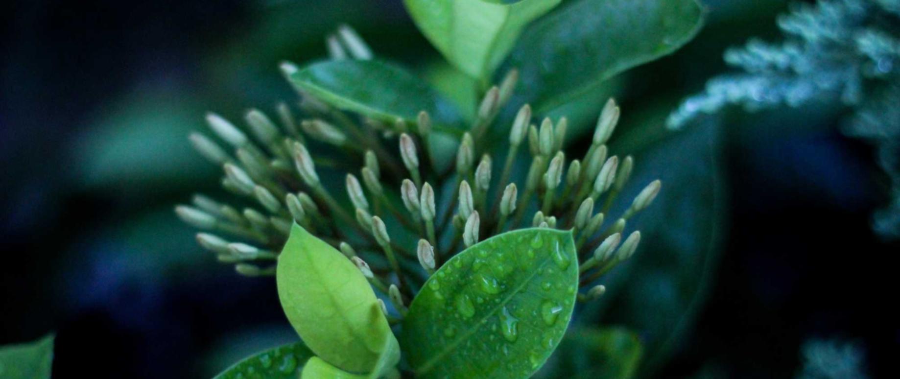 中兴视通实名账号:流量卡和拨打国际电话的费用