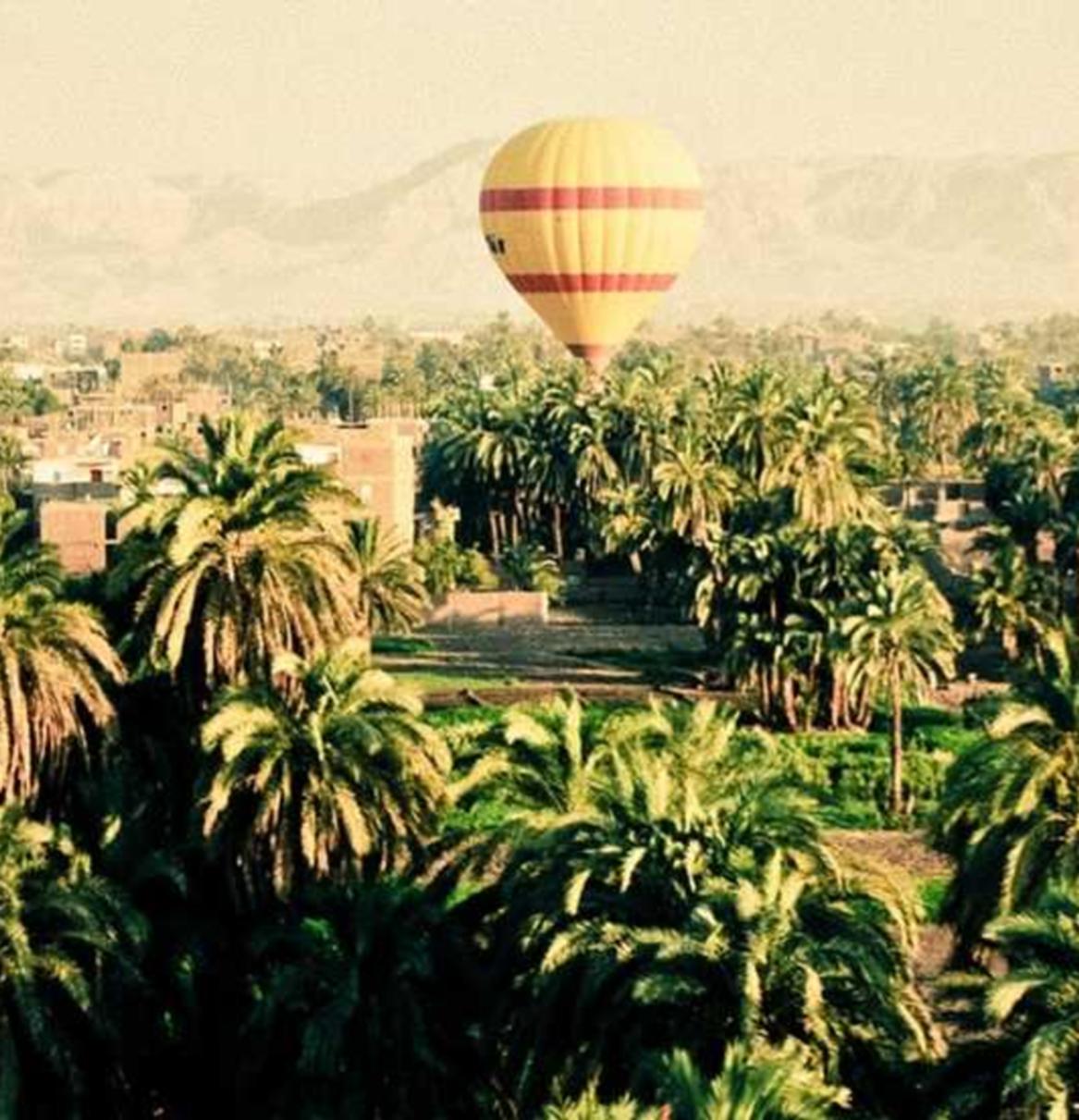 eSIM卡实名账号:短信应用接口的开发和配置