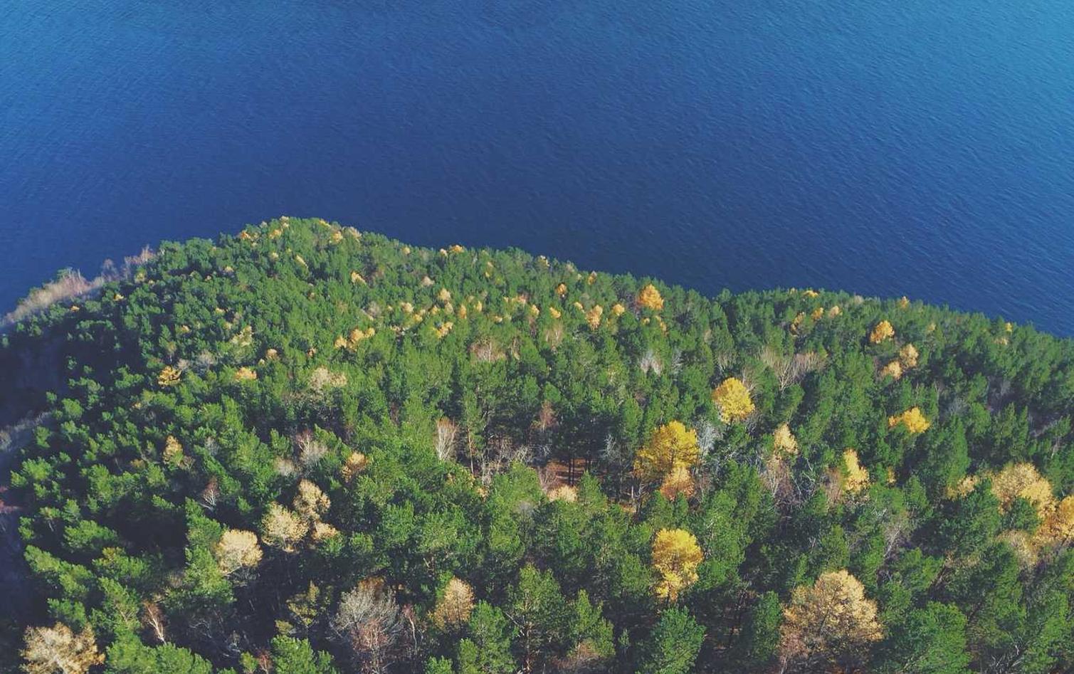 话机通信实名账号:食品商标代理机构注册