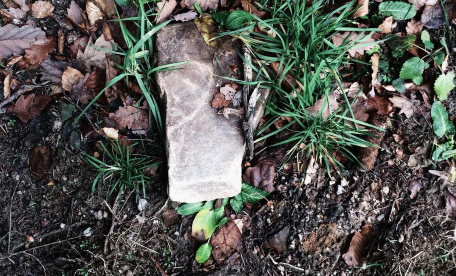 天美娱乐,注册|营销数字化转型的重要性