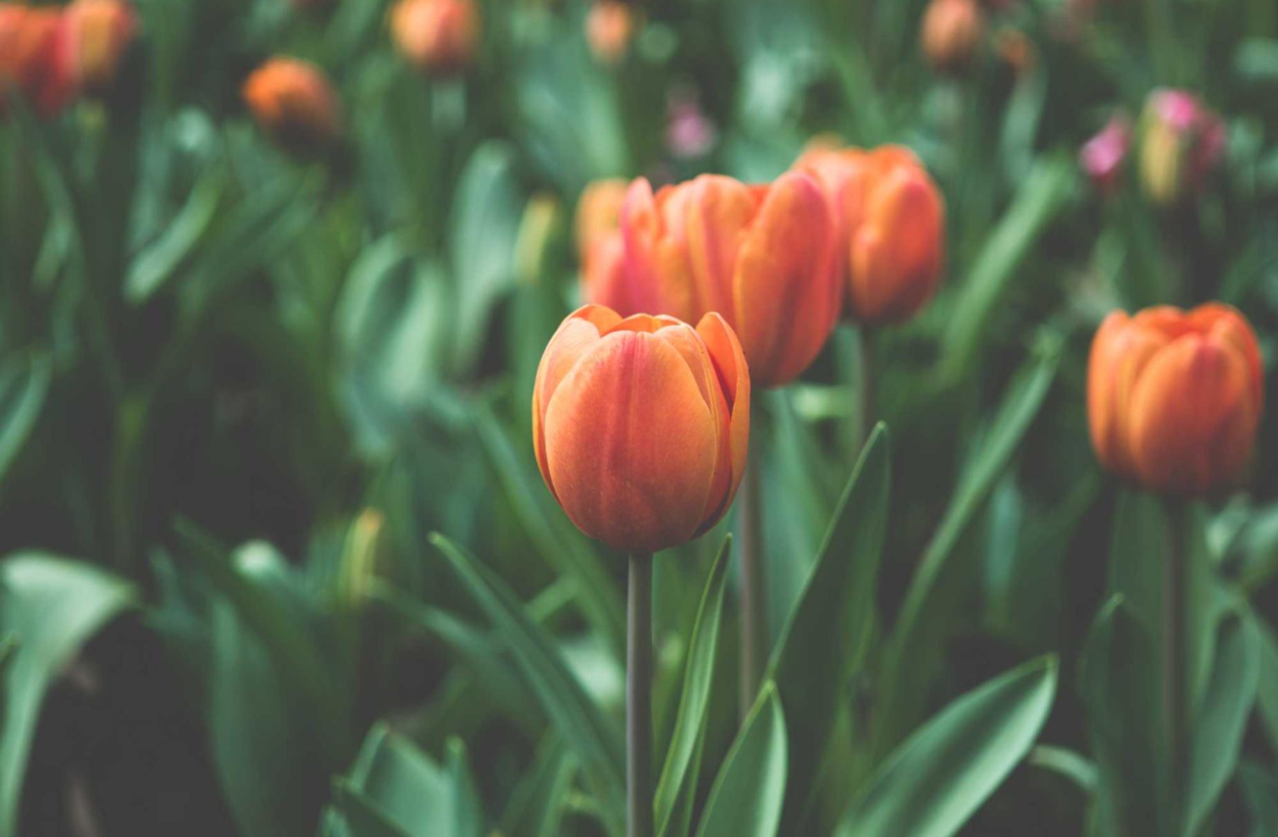 DDOS attack|心田app详情下载教程杭州