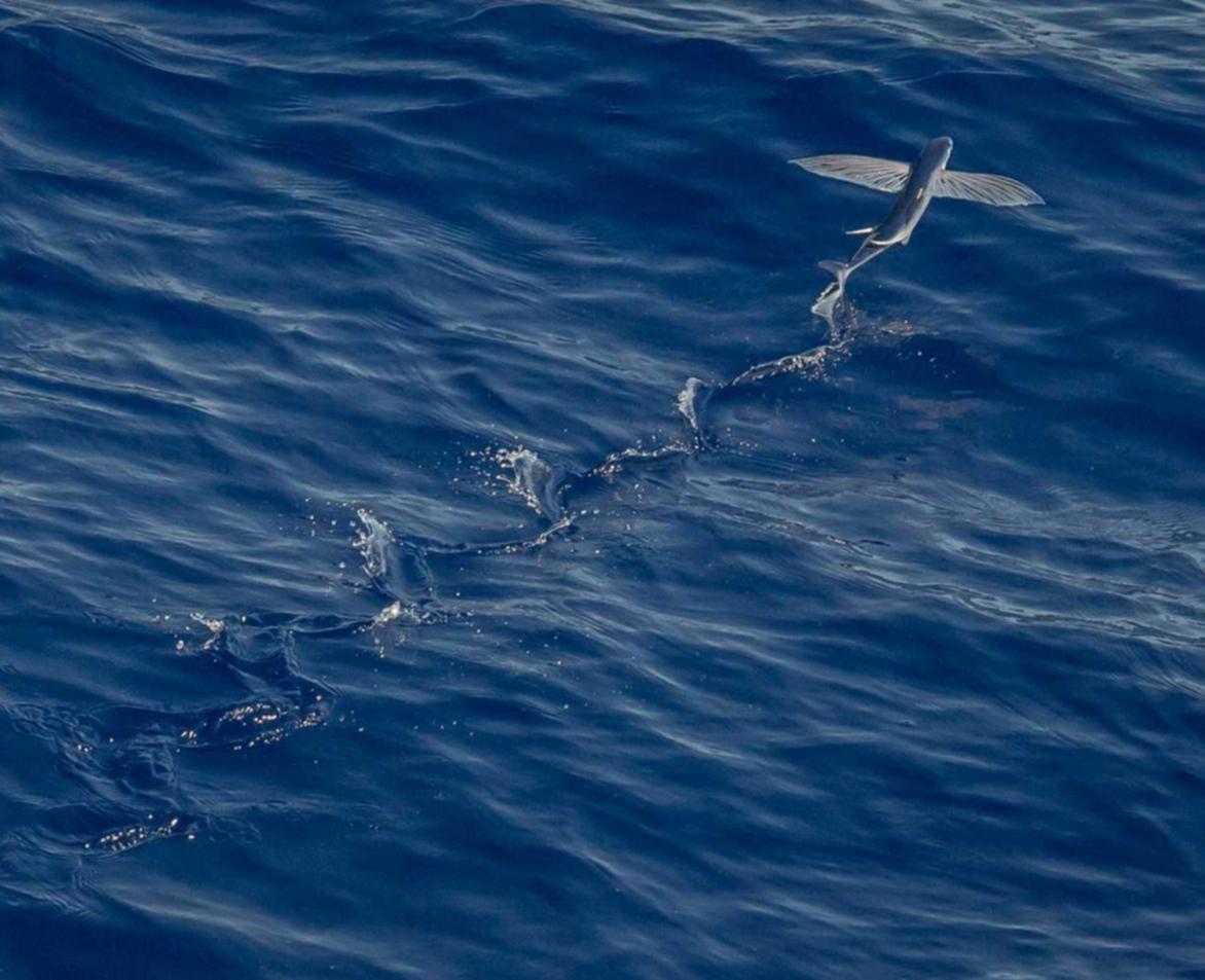 永远的7日之都:公积金开户账号怎么改