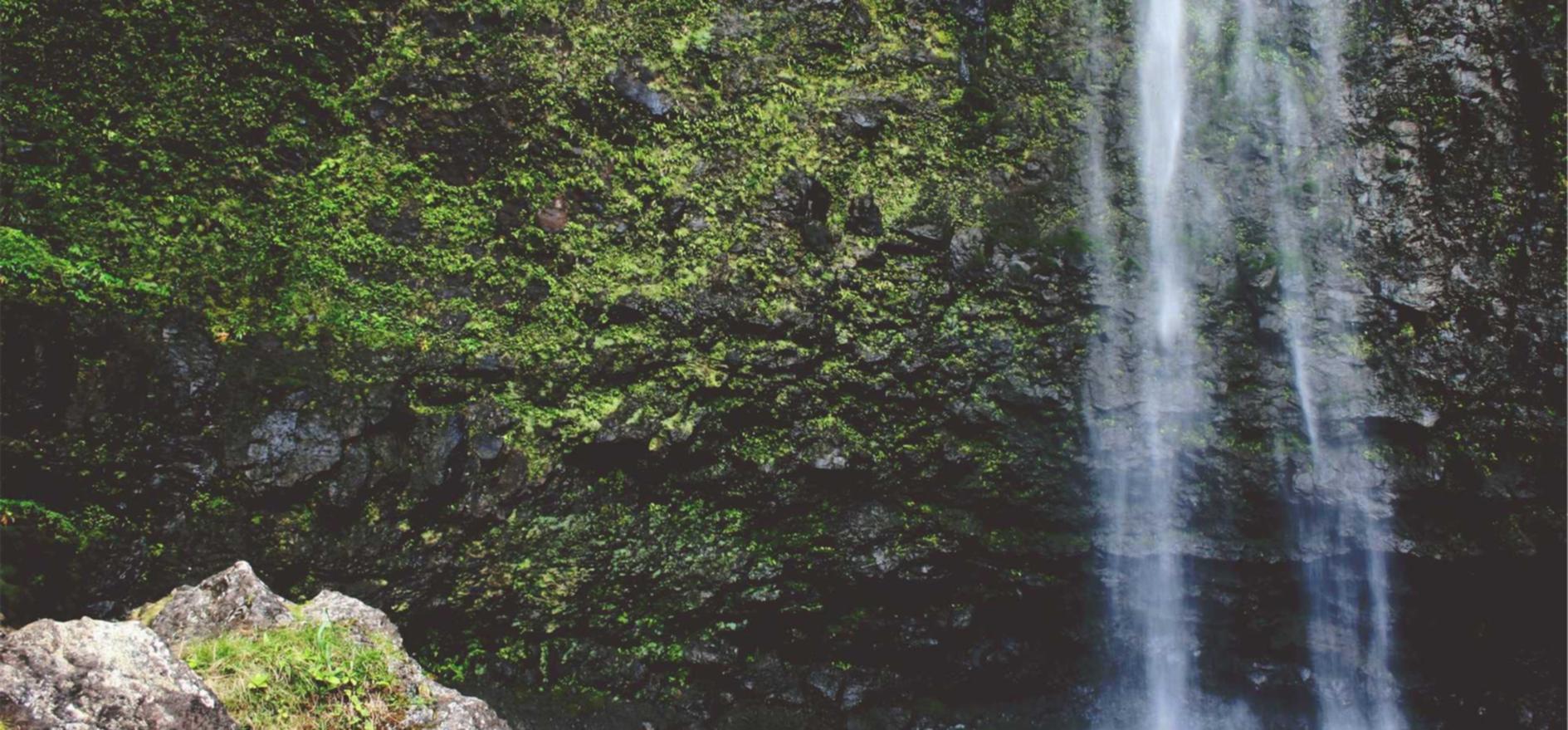 百纵科技实名账号:宁波船务代理平台有哪些