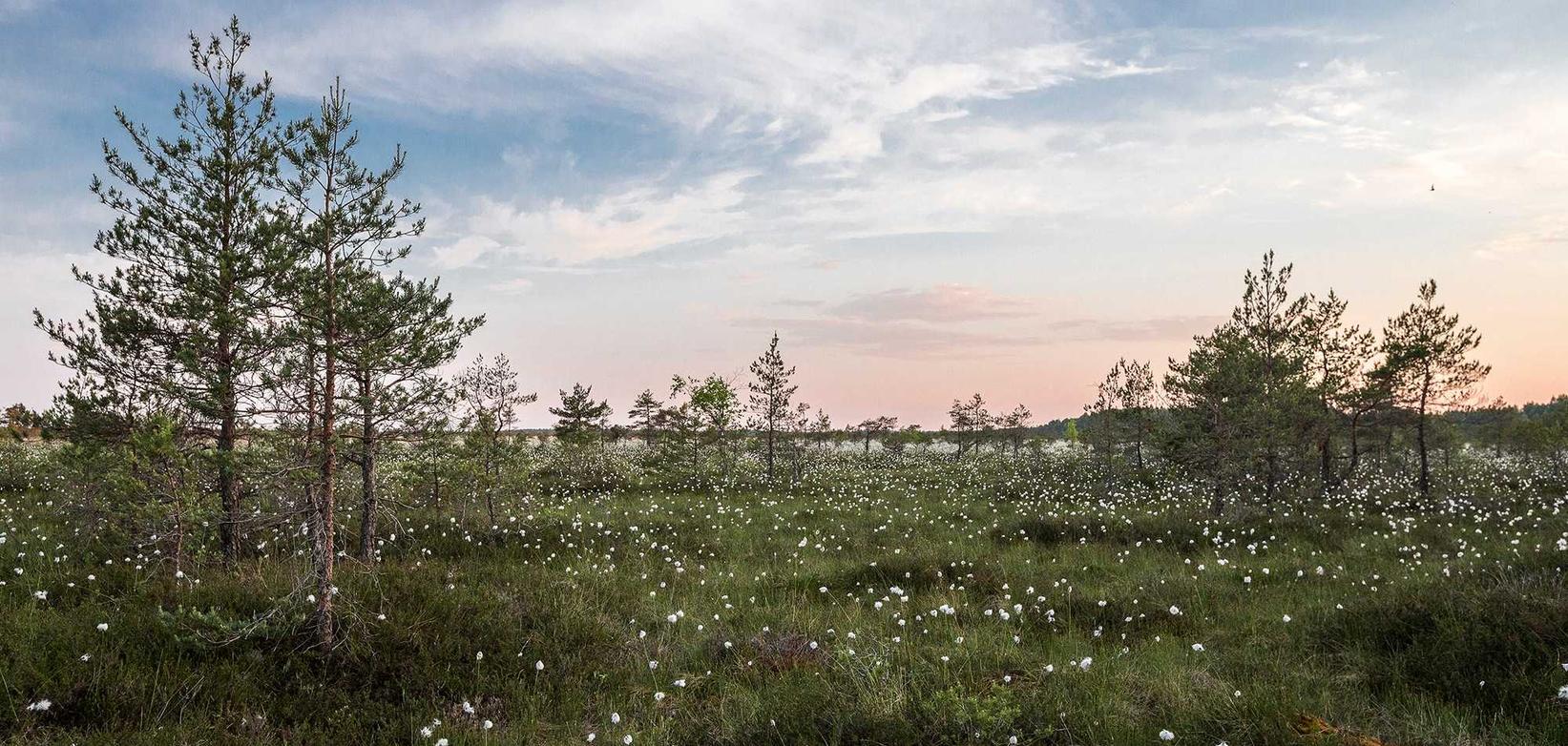 劳保公司注册代理