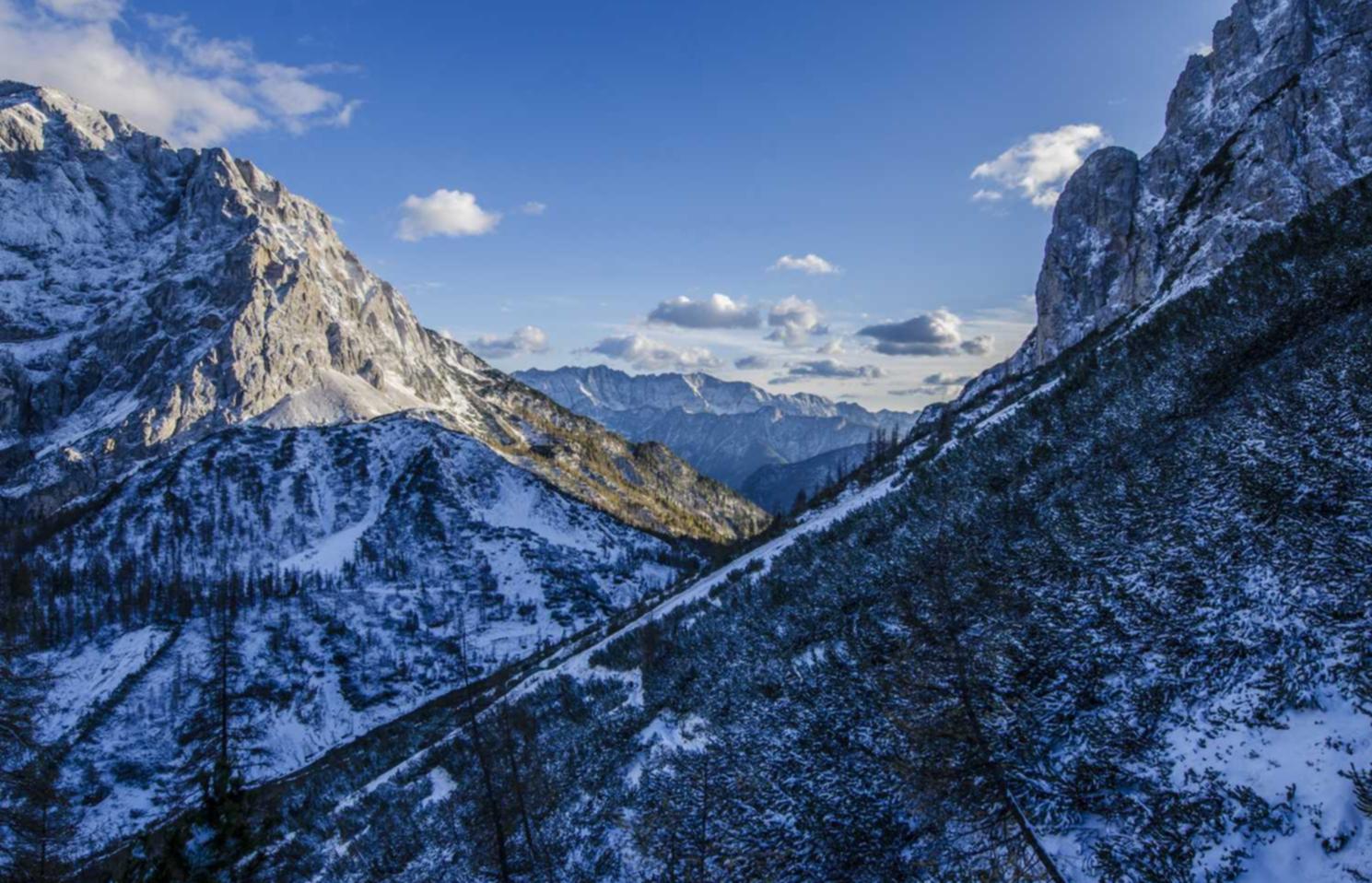 nhs app详情下载教程不了