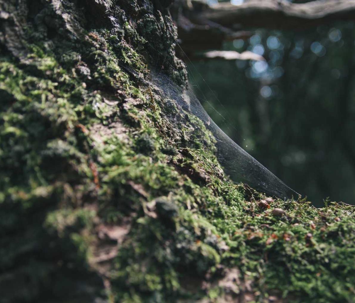 空匣人型辅助- 除臭神器购买平台