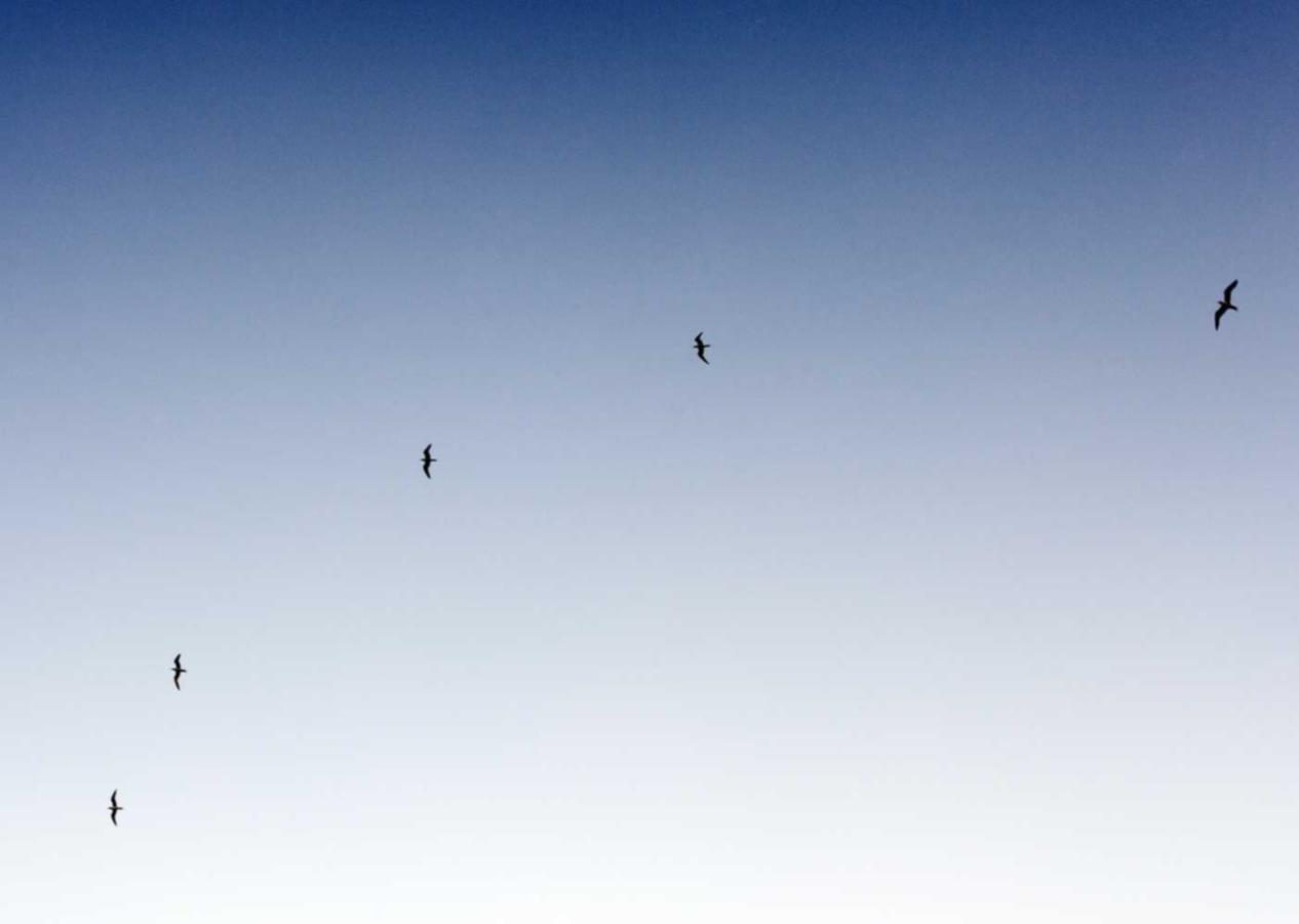 迪信通实名账号:uarte手环app详情下载教程