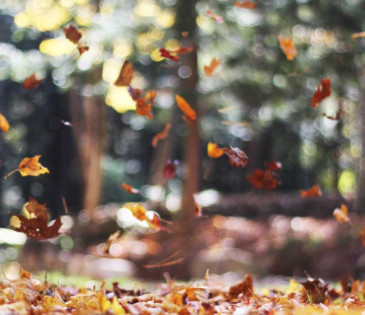 中麦通讯实名账号：流量卡运营商的选择问题