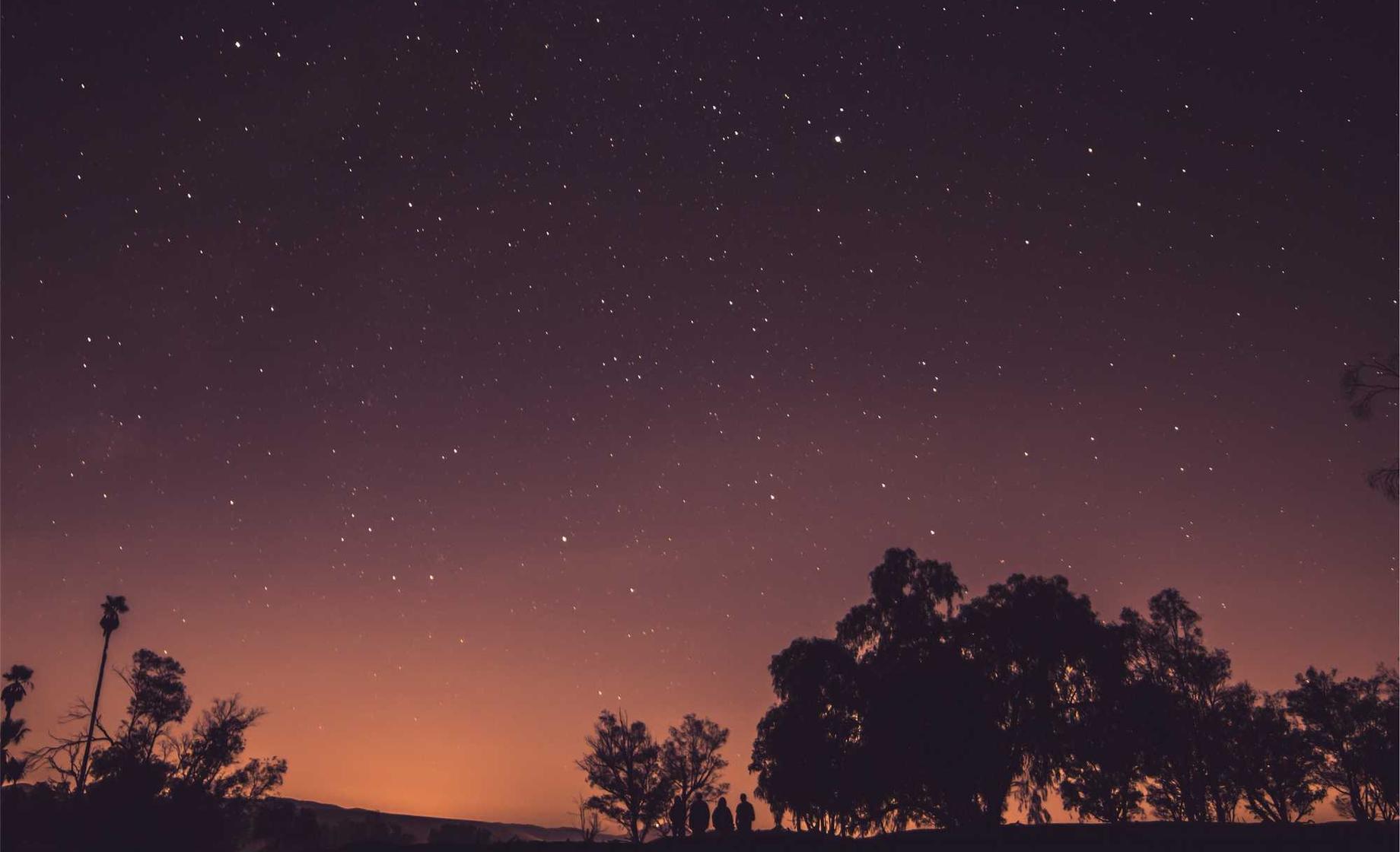 电话卡挂失- 有机药品购买平台