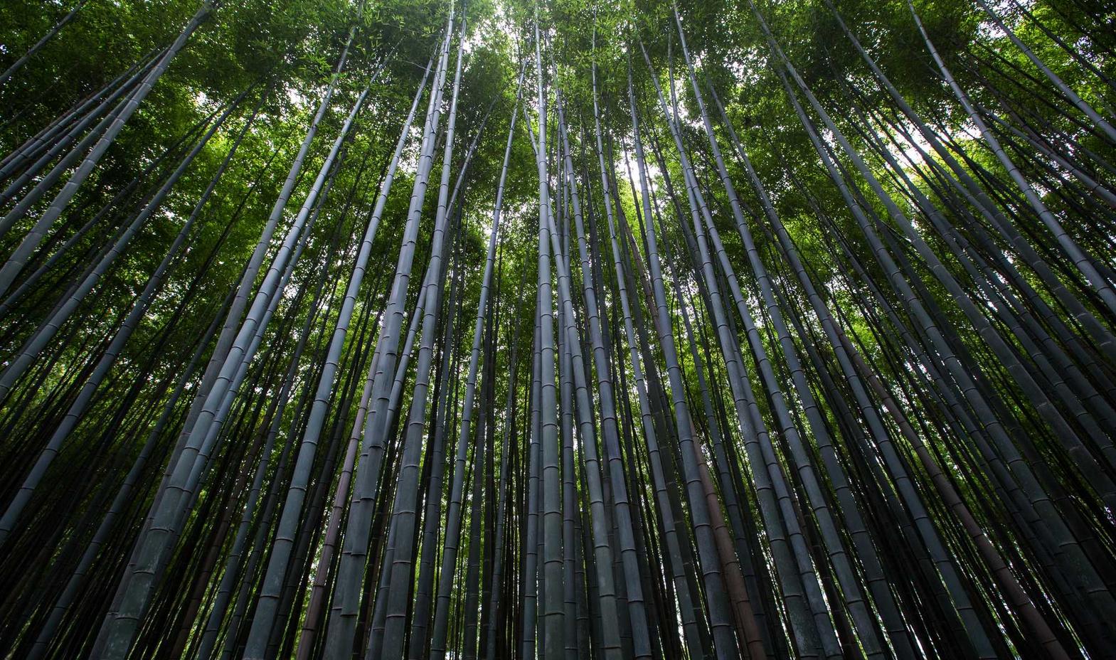 中国广电实名账号:实名认证已经成为网络时代的必然趋势