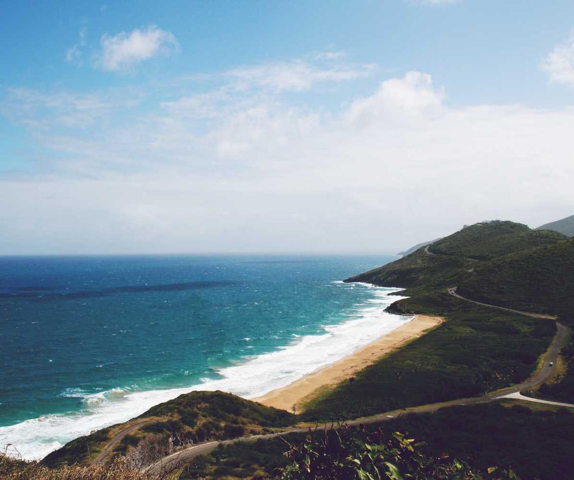 实名手机卡买卖:鲜花购买平台文案