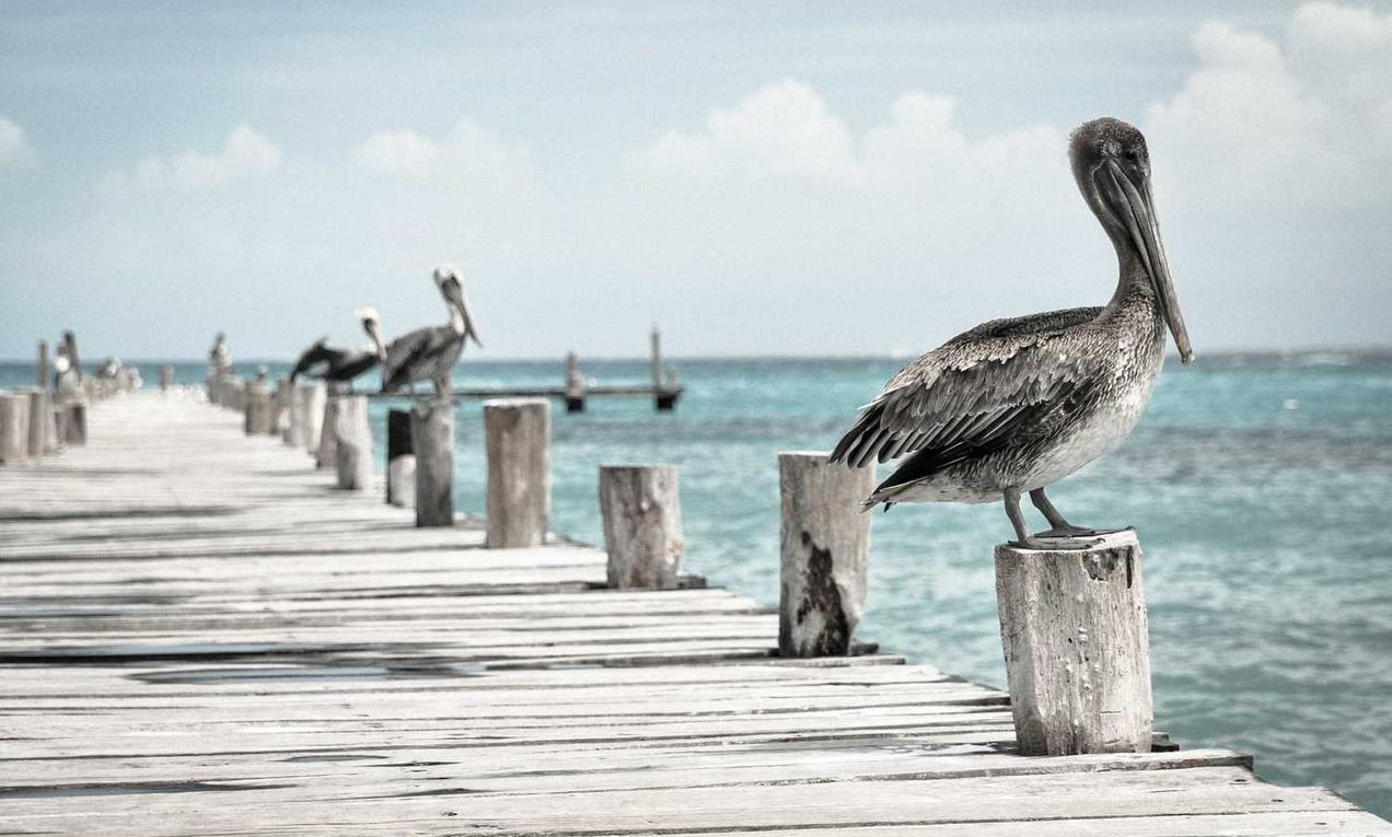 兔子ip实名账号:实名认证的优缺点分析