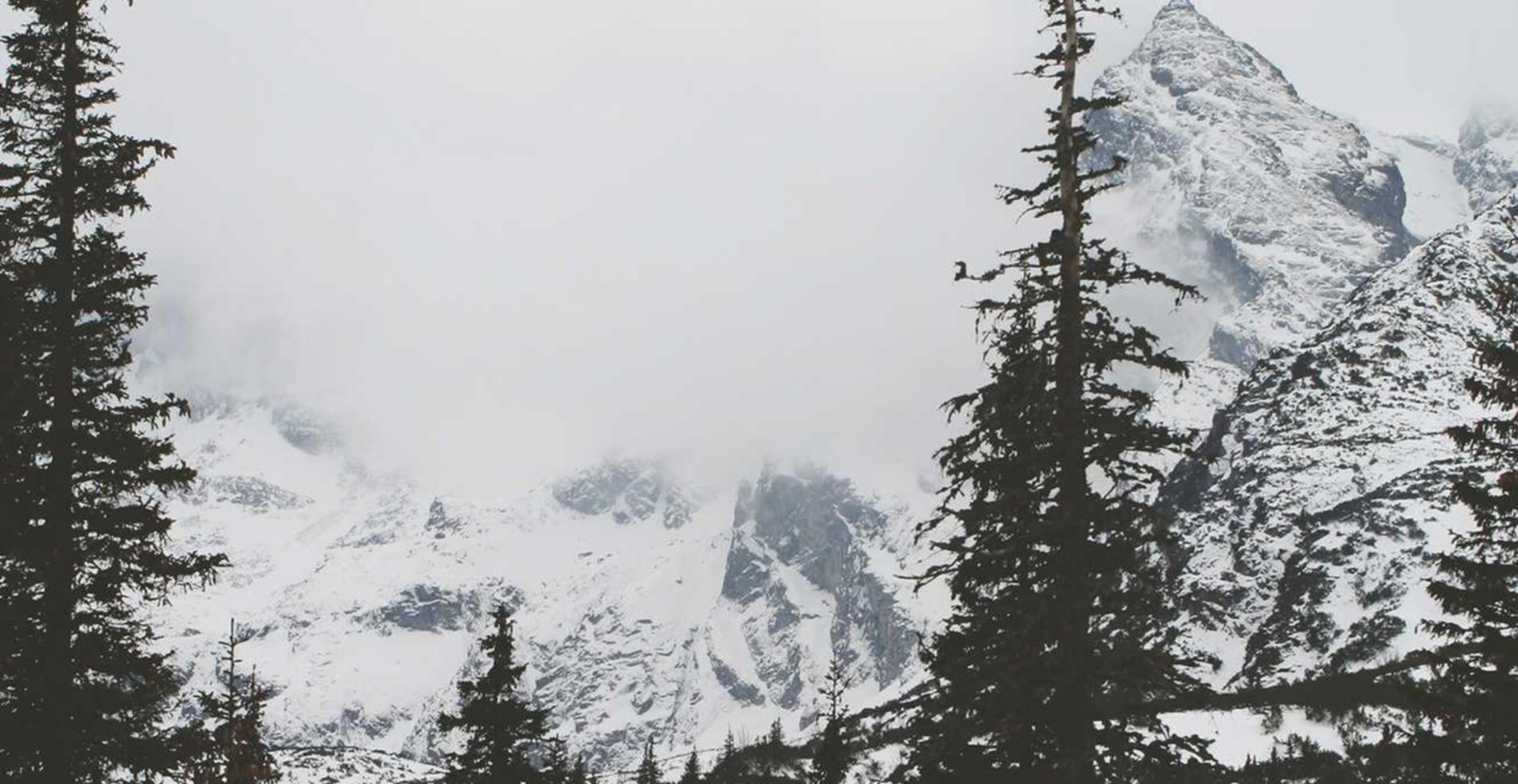 头条手机卡实名账号:海安代理企业注册流程