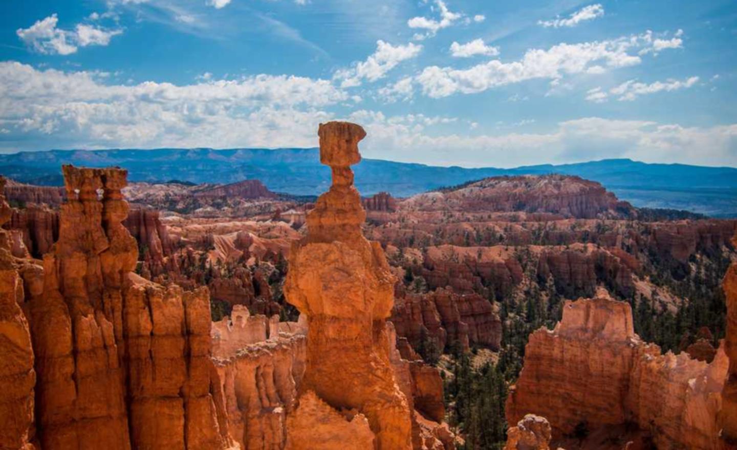 DDOS攻击测试|爱代练app在哪详情下载教程