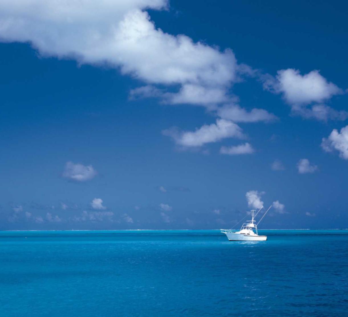 书写APP详情下载教程