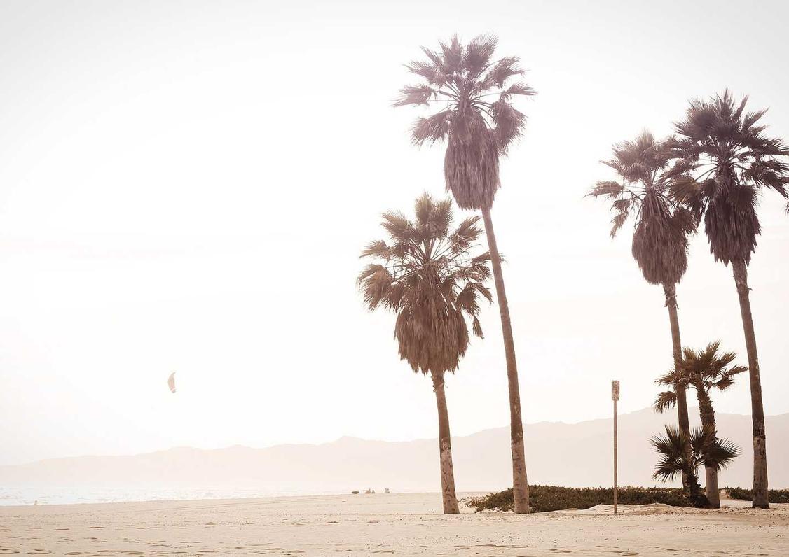 如何利用社群营销吸引潜在用户