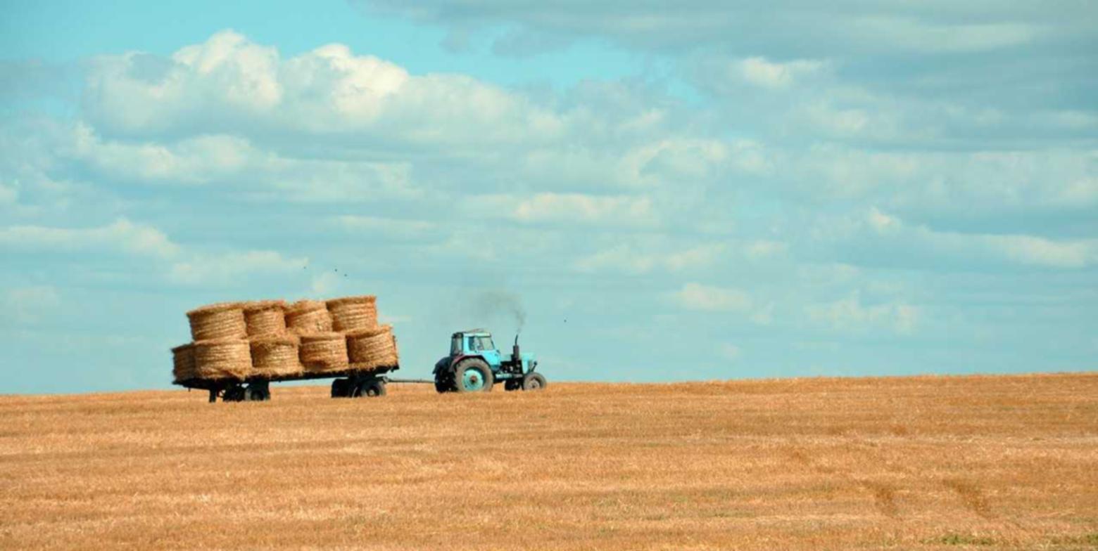 0月租流量卡：新药注册代理