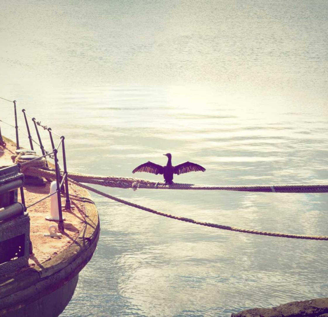 西部数码实名账号：实名制的存在，会不会导致更多的个人信息泄露