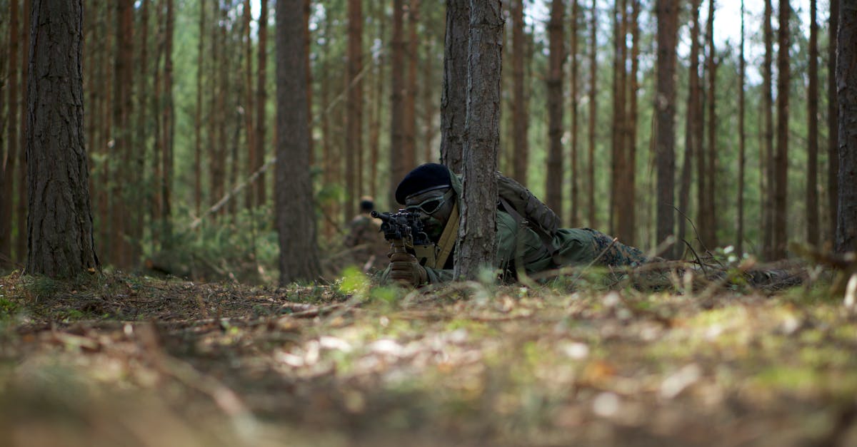 青云传：遇见神鹿购买平台