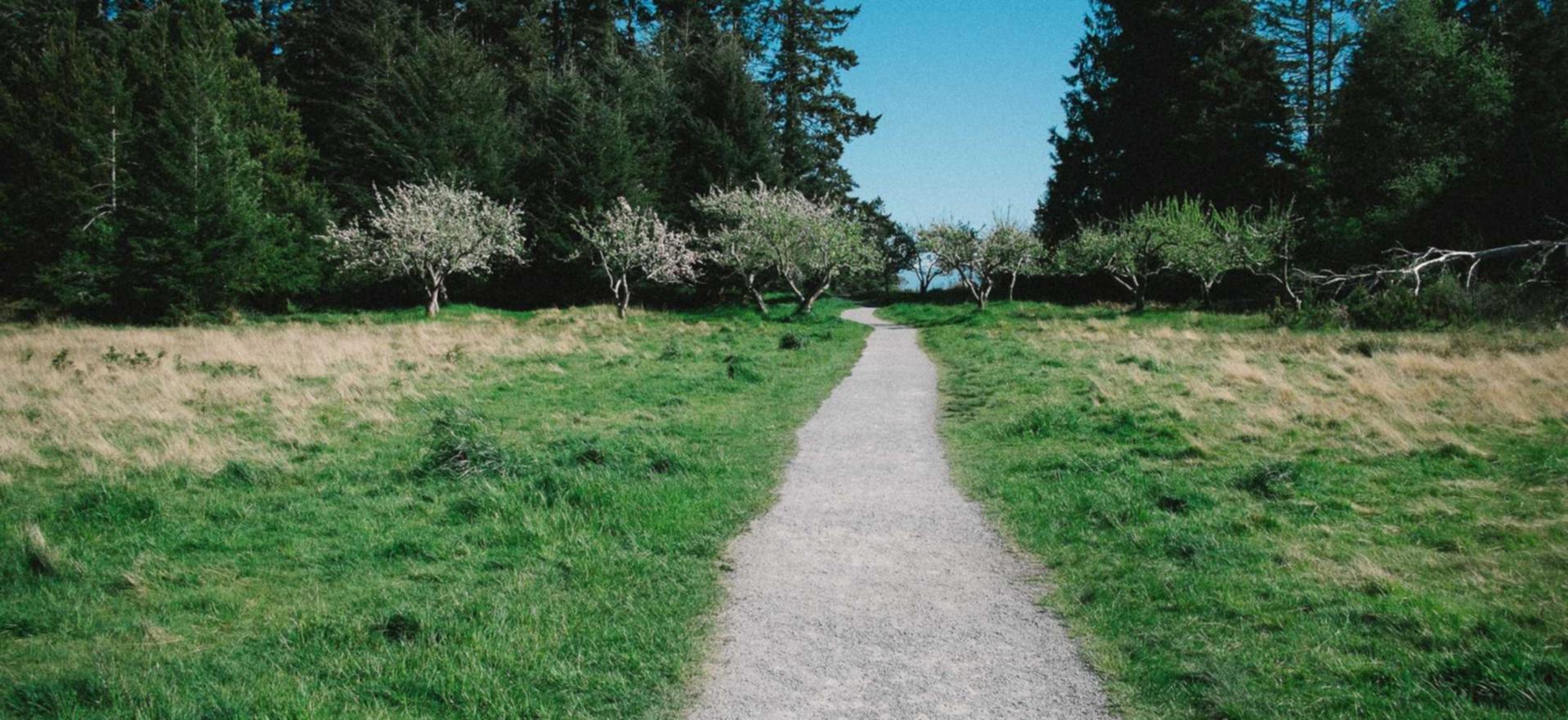 逆战：丽水沃尔玛注册代理