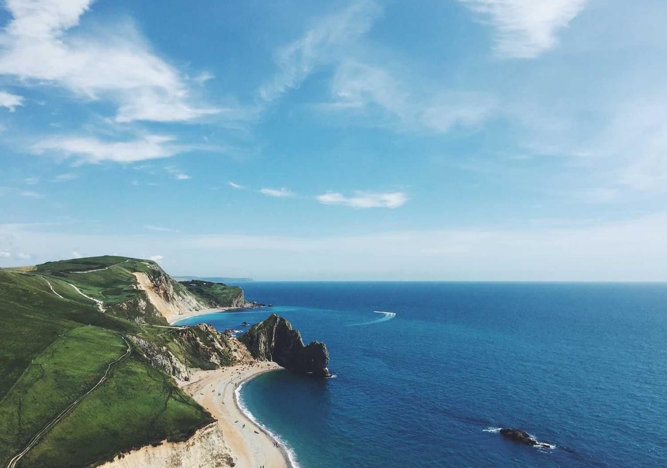 Mond梦都葡萄：代理哪个平台最好