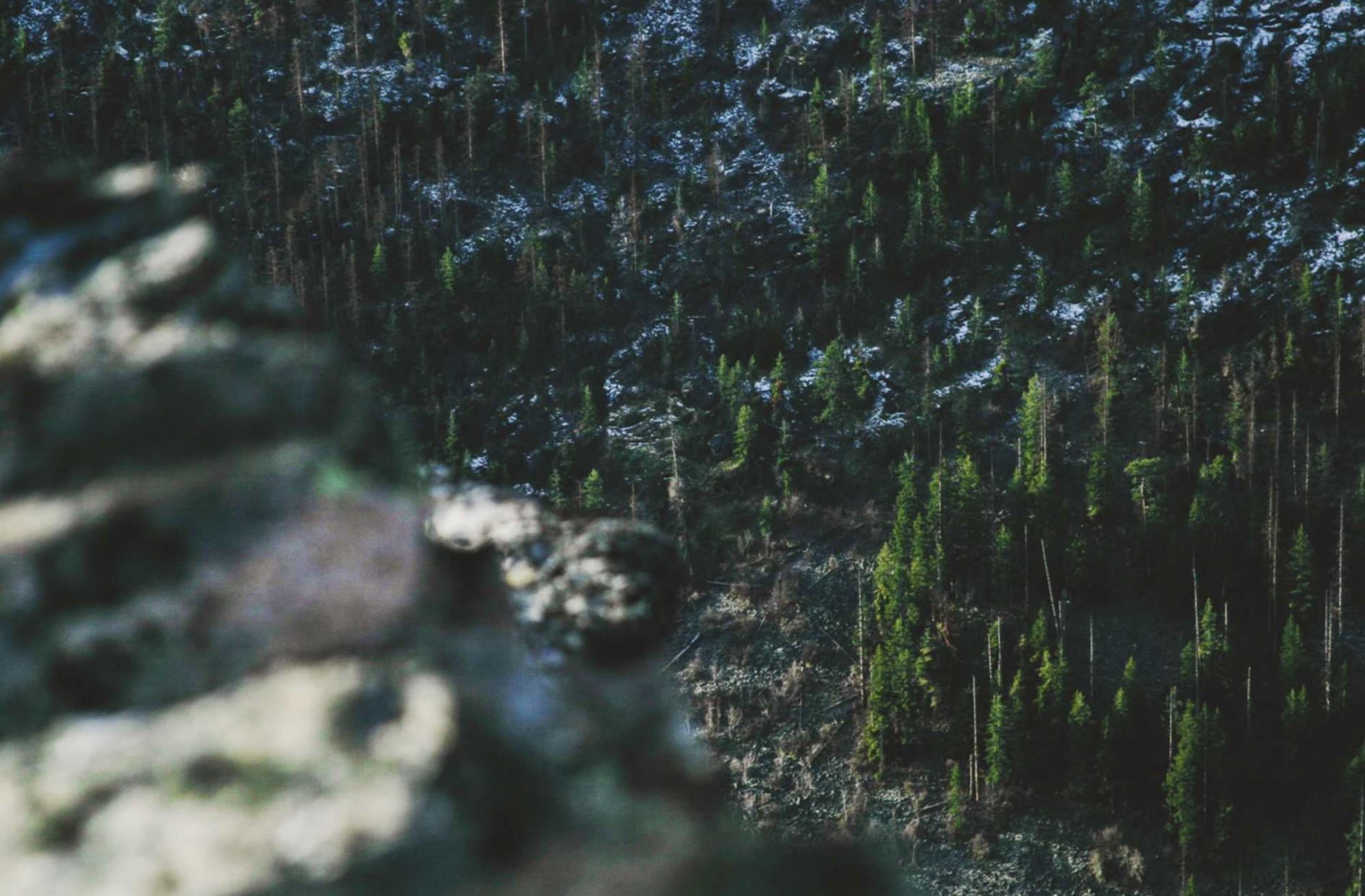 技术支持和辅助软件如何通过反射和注入攻击游戏？