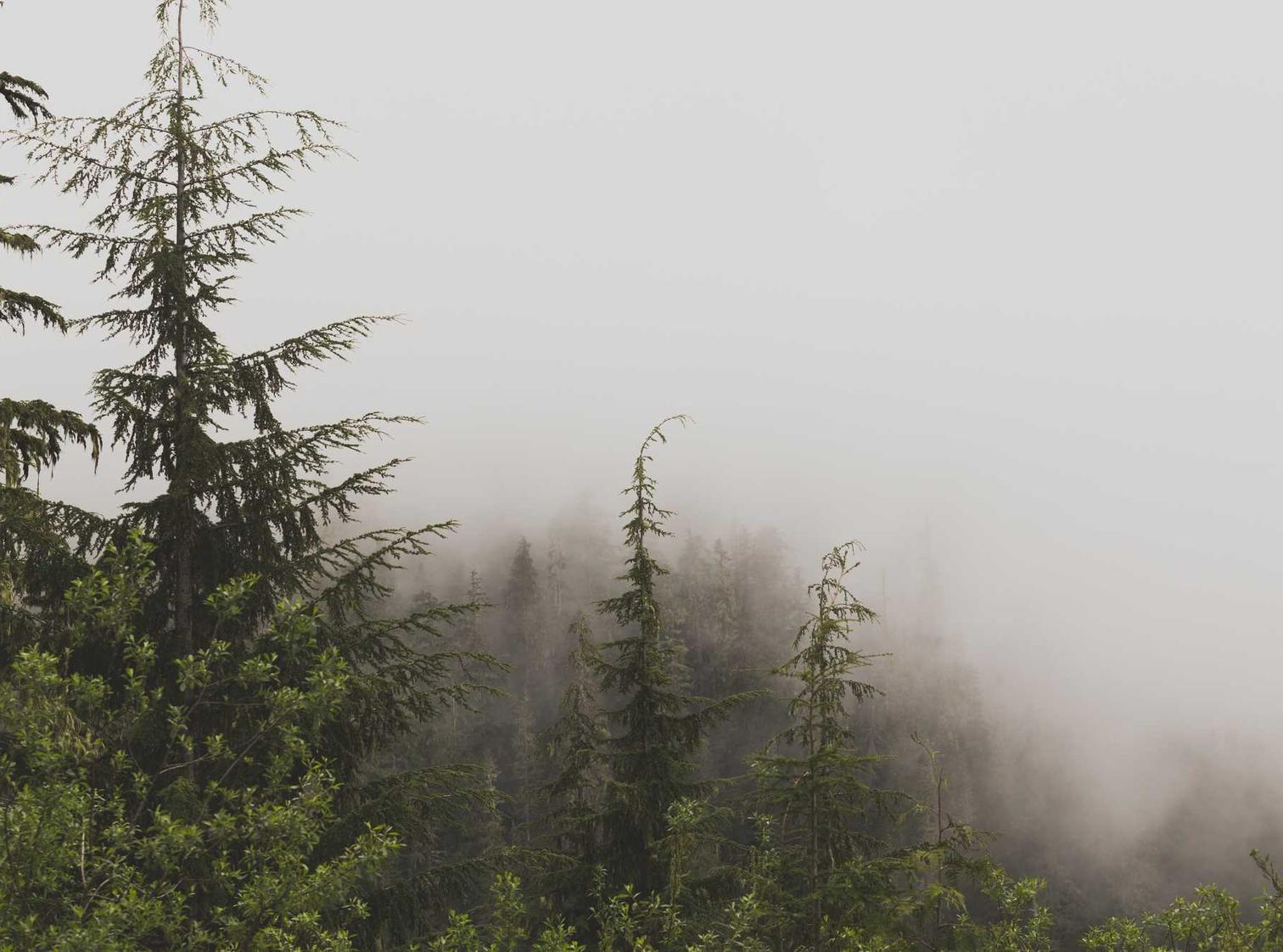 阿斯达年代记：三强争霸：三水新注册公司代理公司