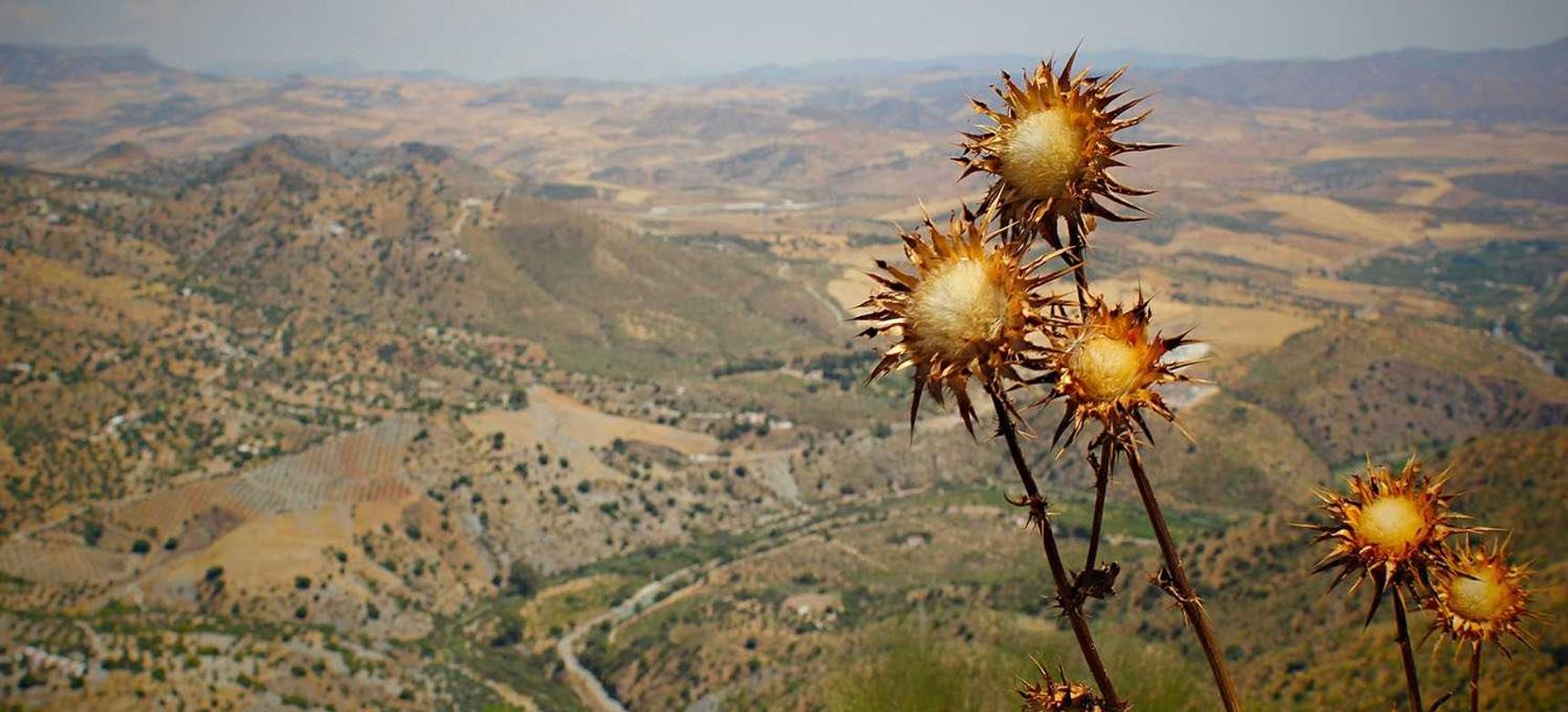 技术支持辅助与游戏经济的关系