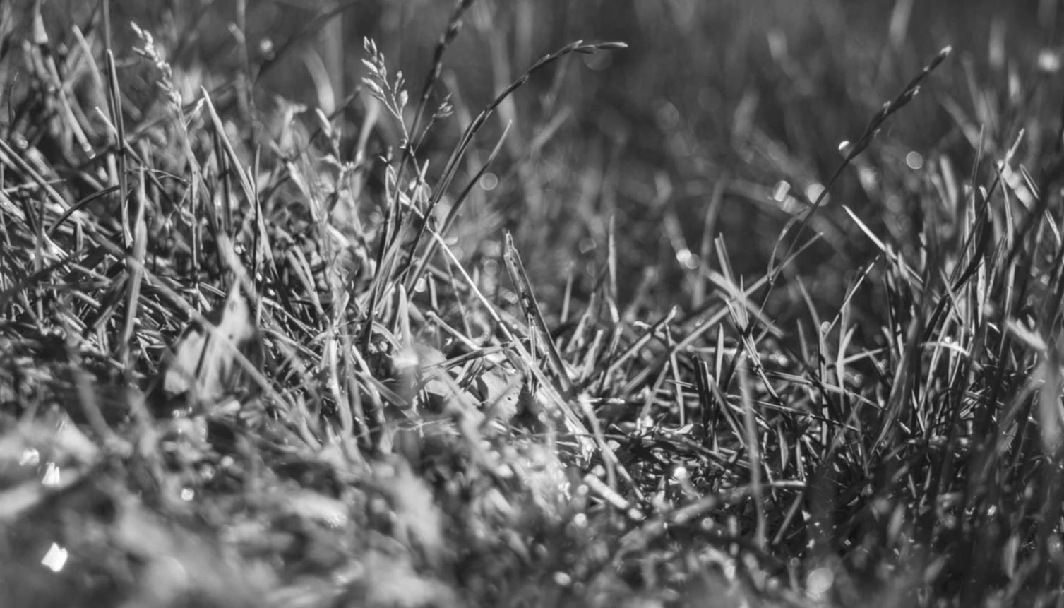 WEB开发新趋势:PWA技术的应用与优势