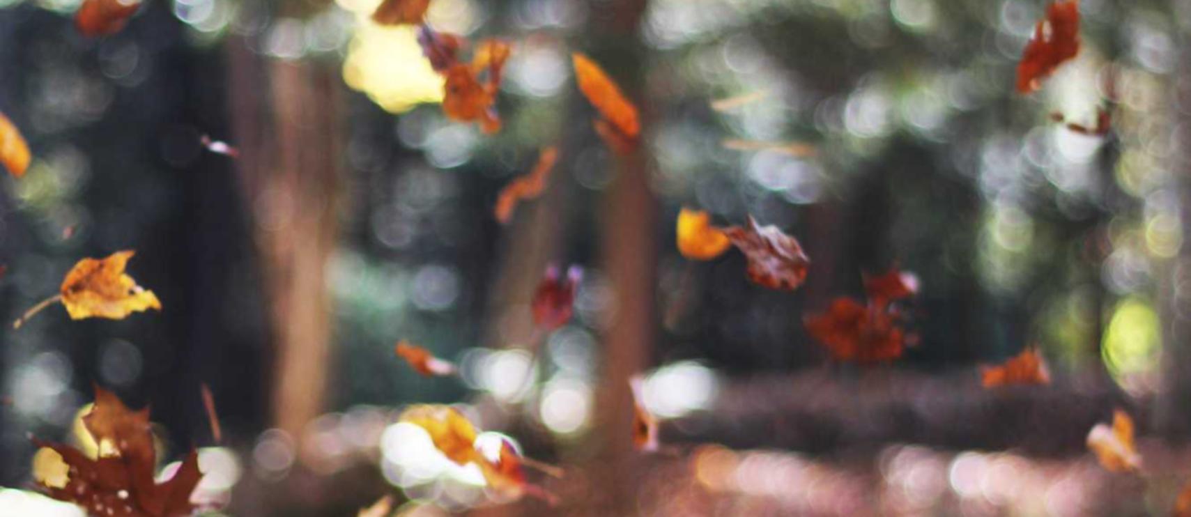 详情下载教程游戏官服的app