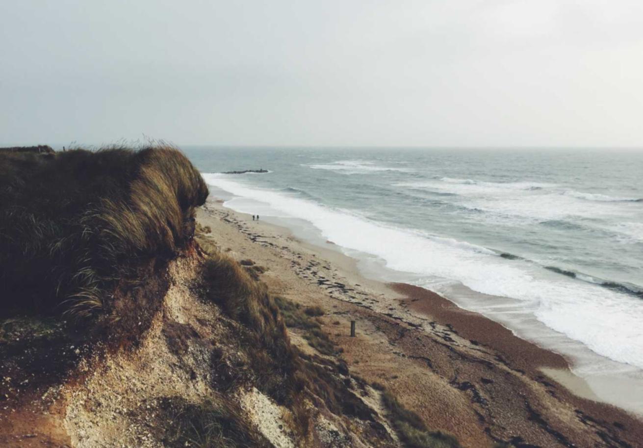 金鳞免费代理平台游戏
