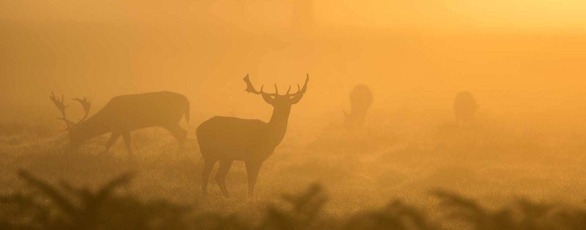 不封号电销卡：白银期货开户平台电话
