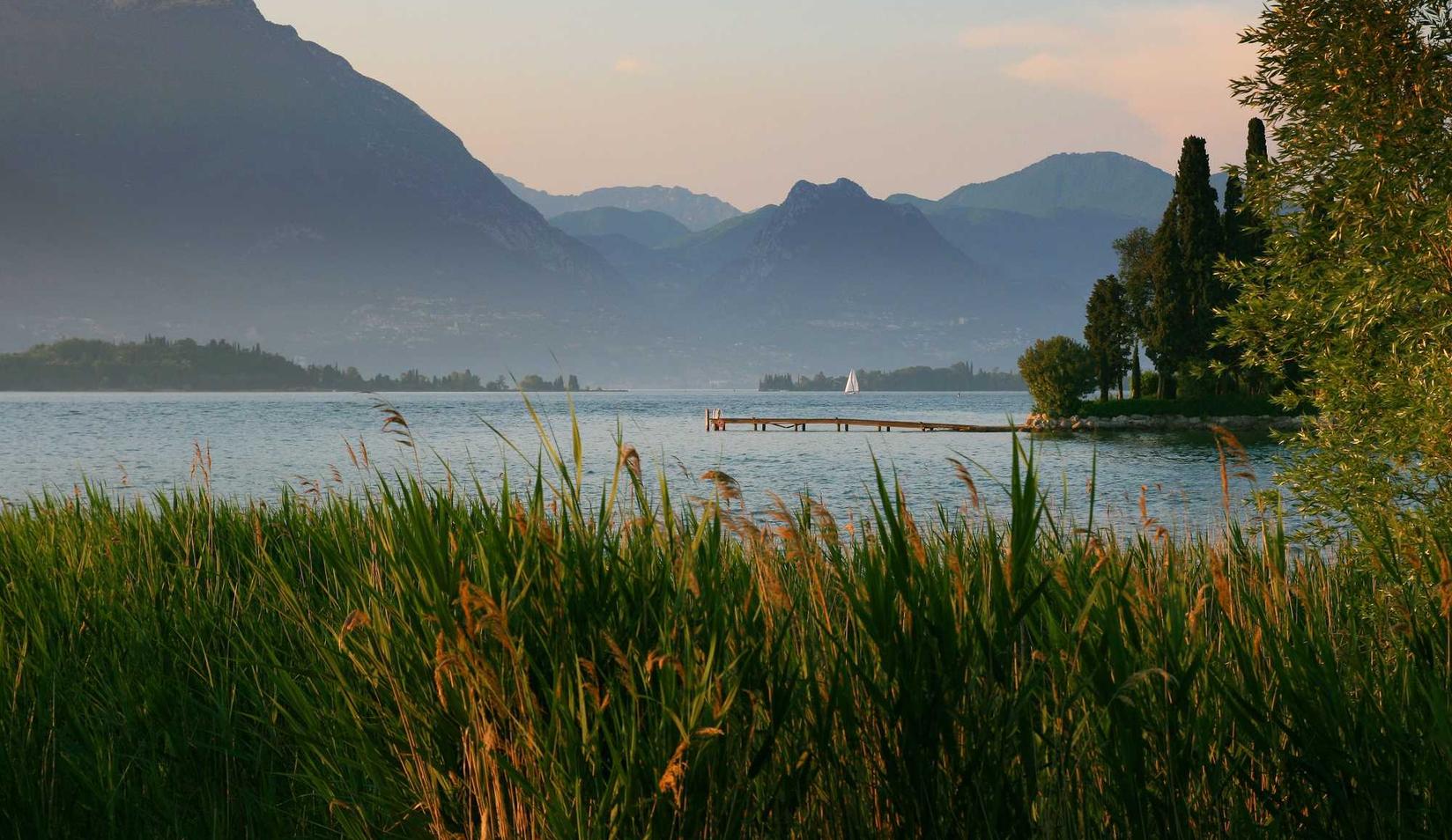 免费DDOS攻击平台|东莞手机充值代理平台电话