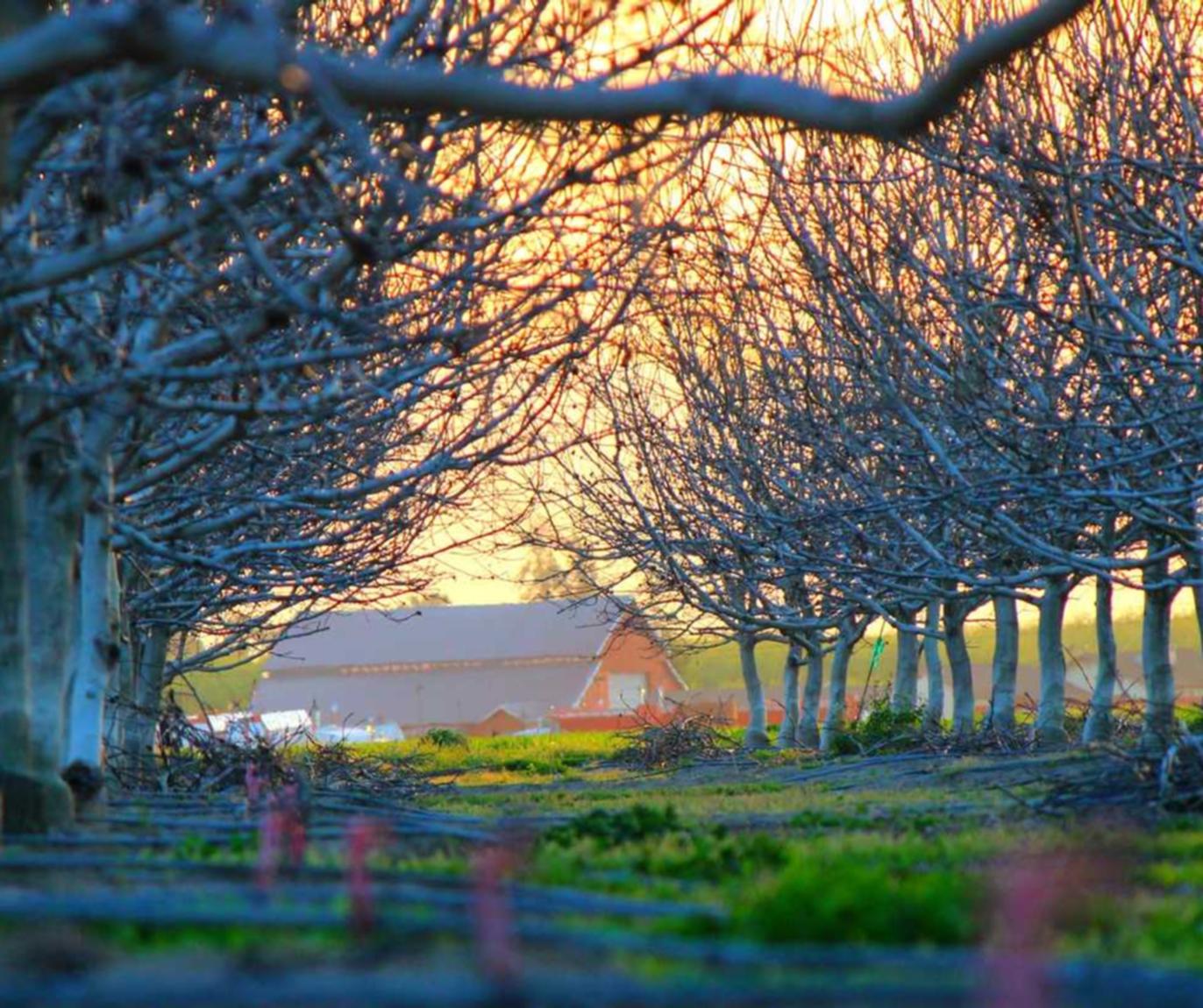 巨人辅助- 问道游戏平台代理