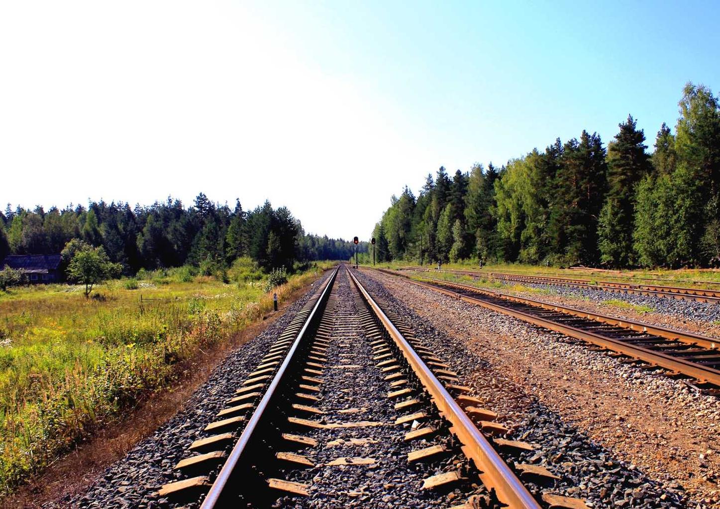 沐鸣3营口酒精购买平台在哪个平台