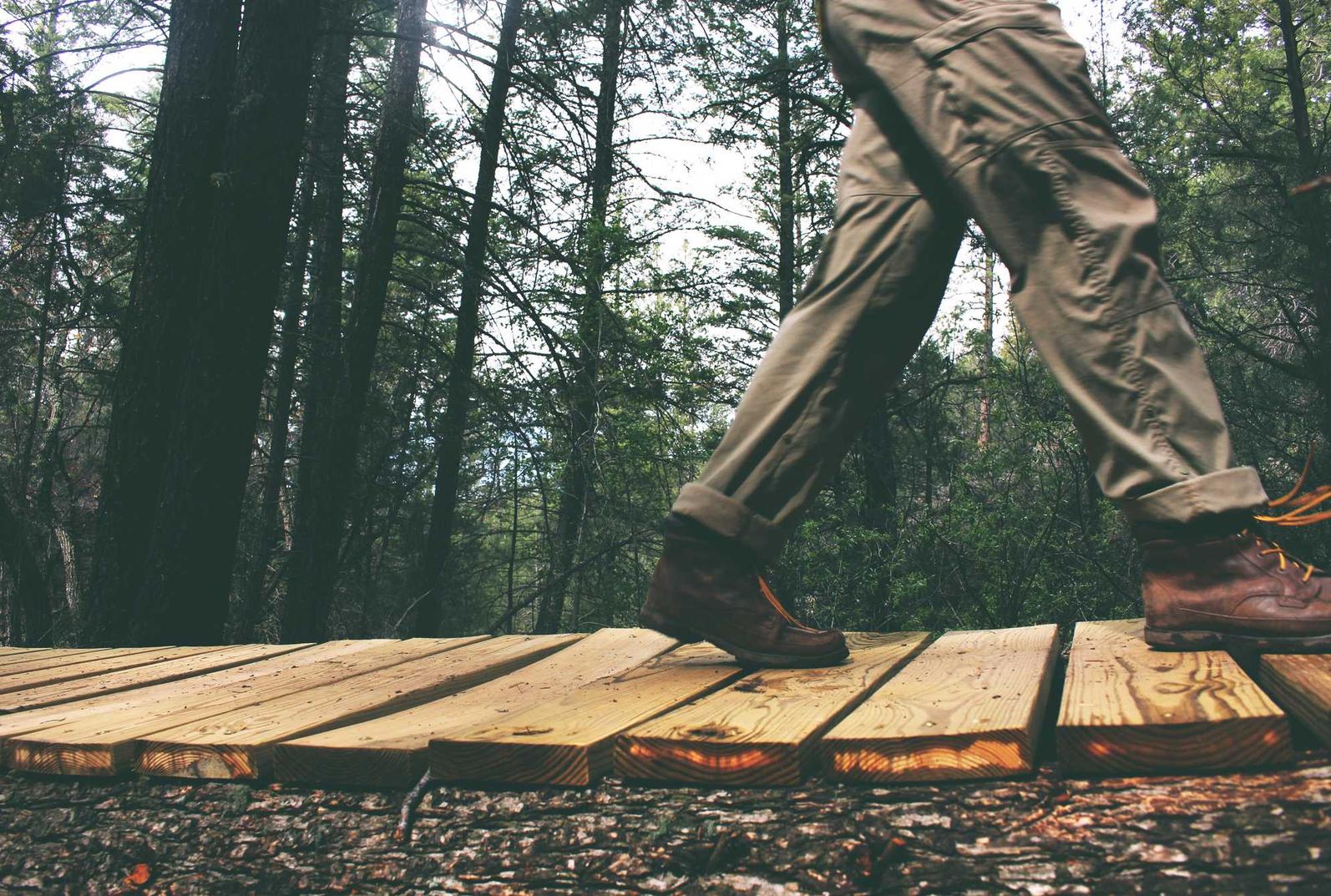 精灵M辅助- 顺平公司注册代理
