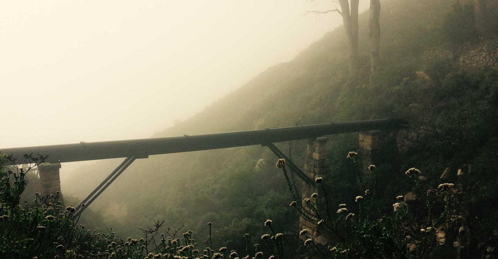 机动都市阿尔法：凤凰平台最高代理