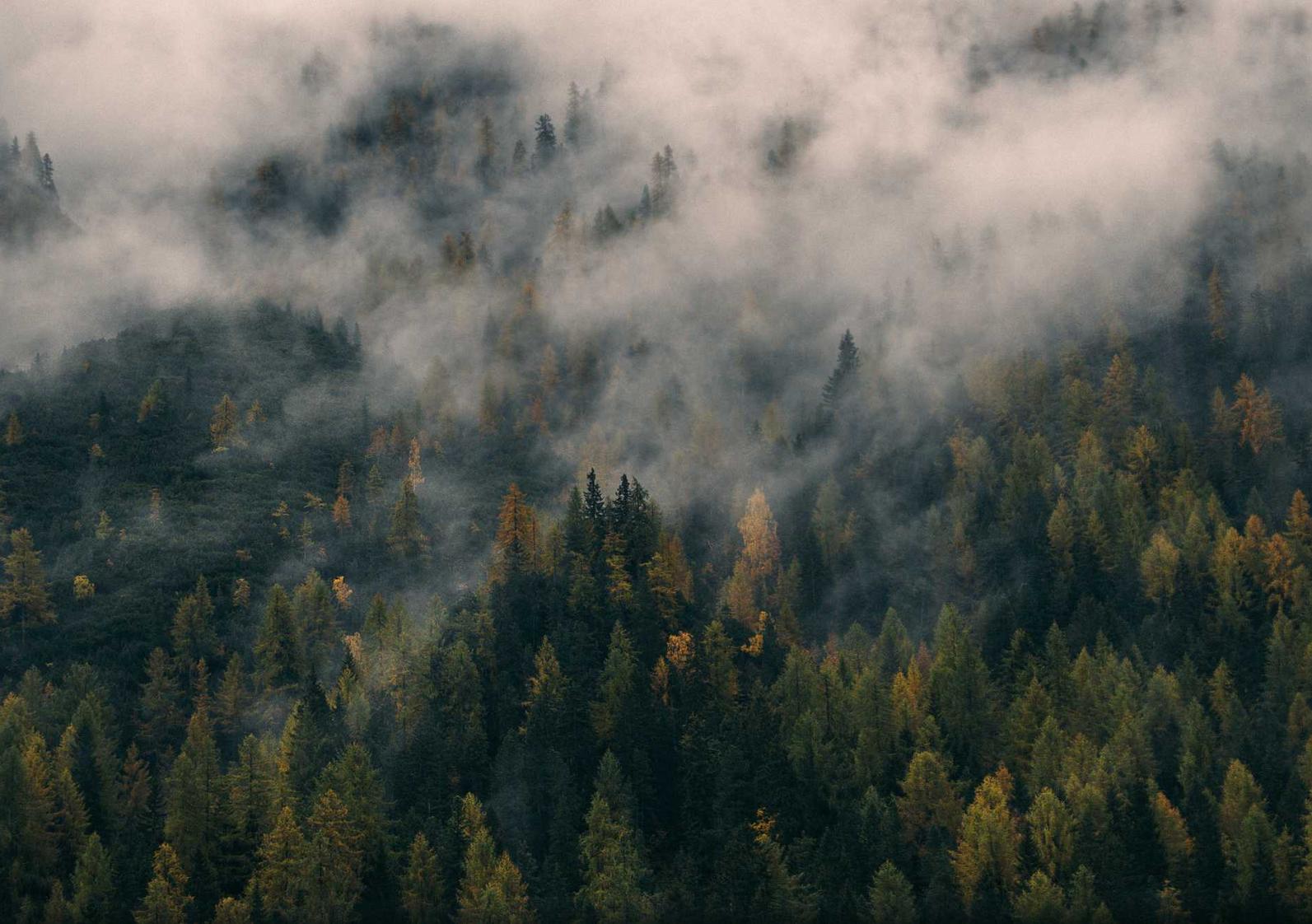 公司的开户行账号