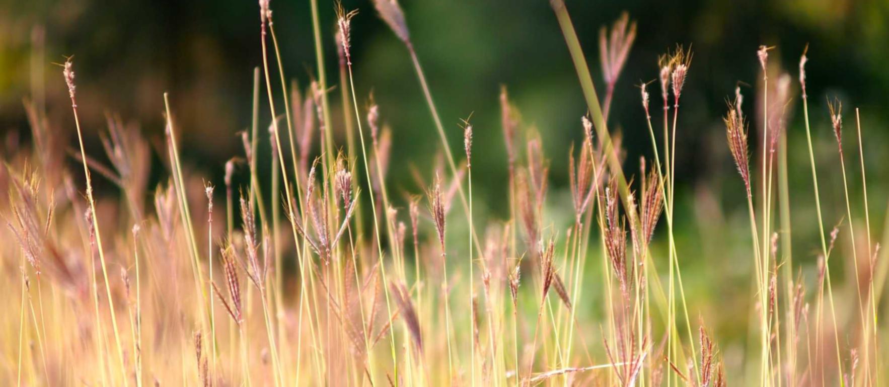 吸烟是否会加速衰老的过程