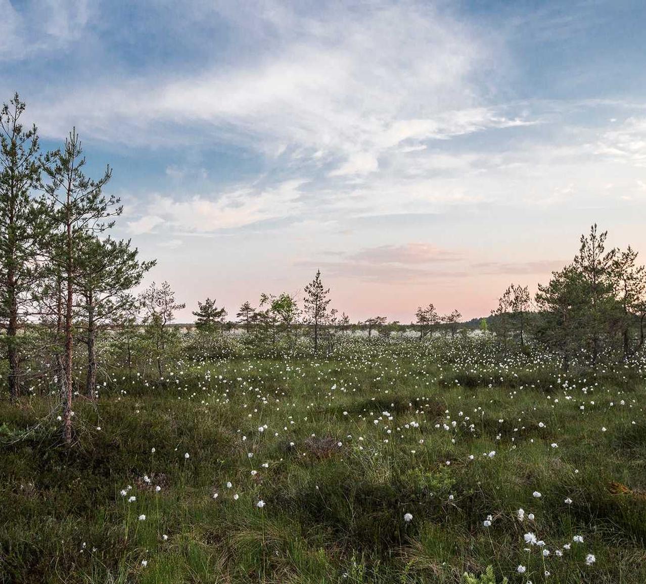 技术支持辅助用户心理变化的研究