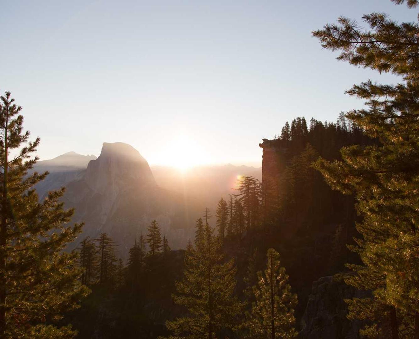 Peel百乐红酒爆珠：代理卖农药有哪些平台代理