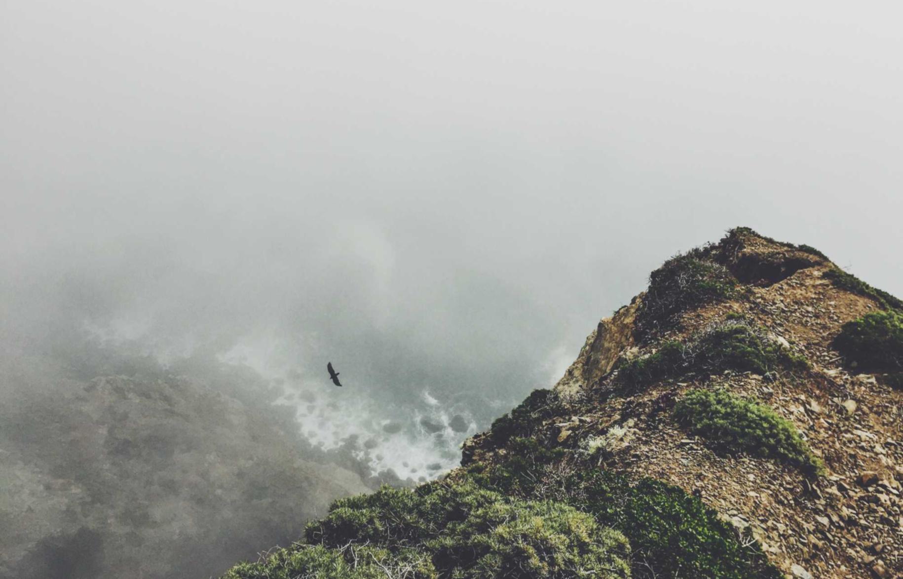 全新微信买卖：注册会计代理多少钱一个月