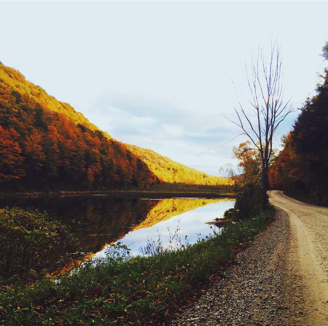 深度ip实名账号：哪个平台购买车
