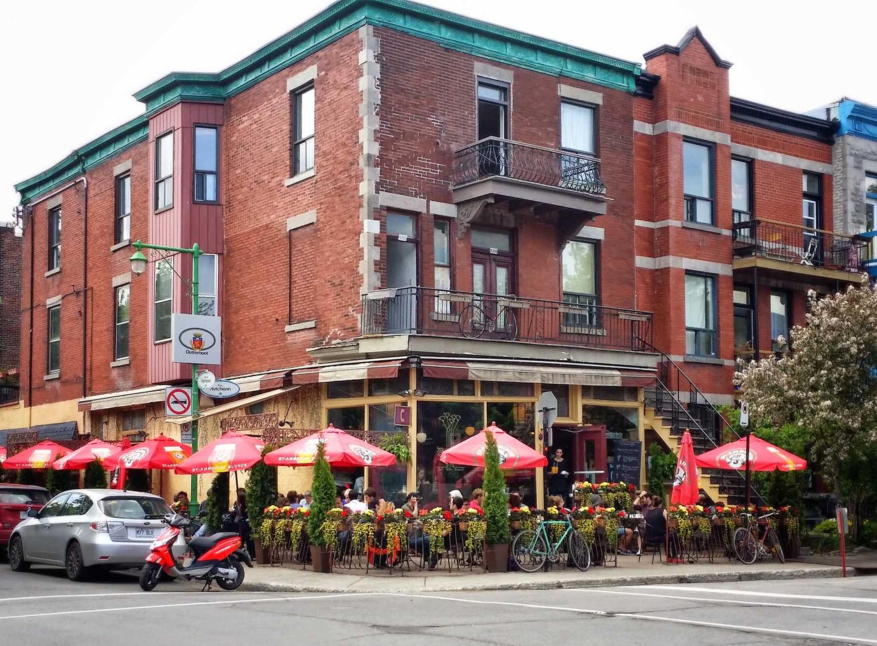 罗密欧1号（15支）（5盒）：高平市政府购买服务平台