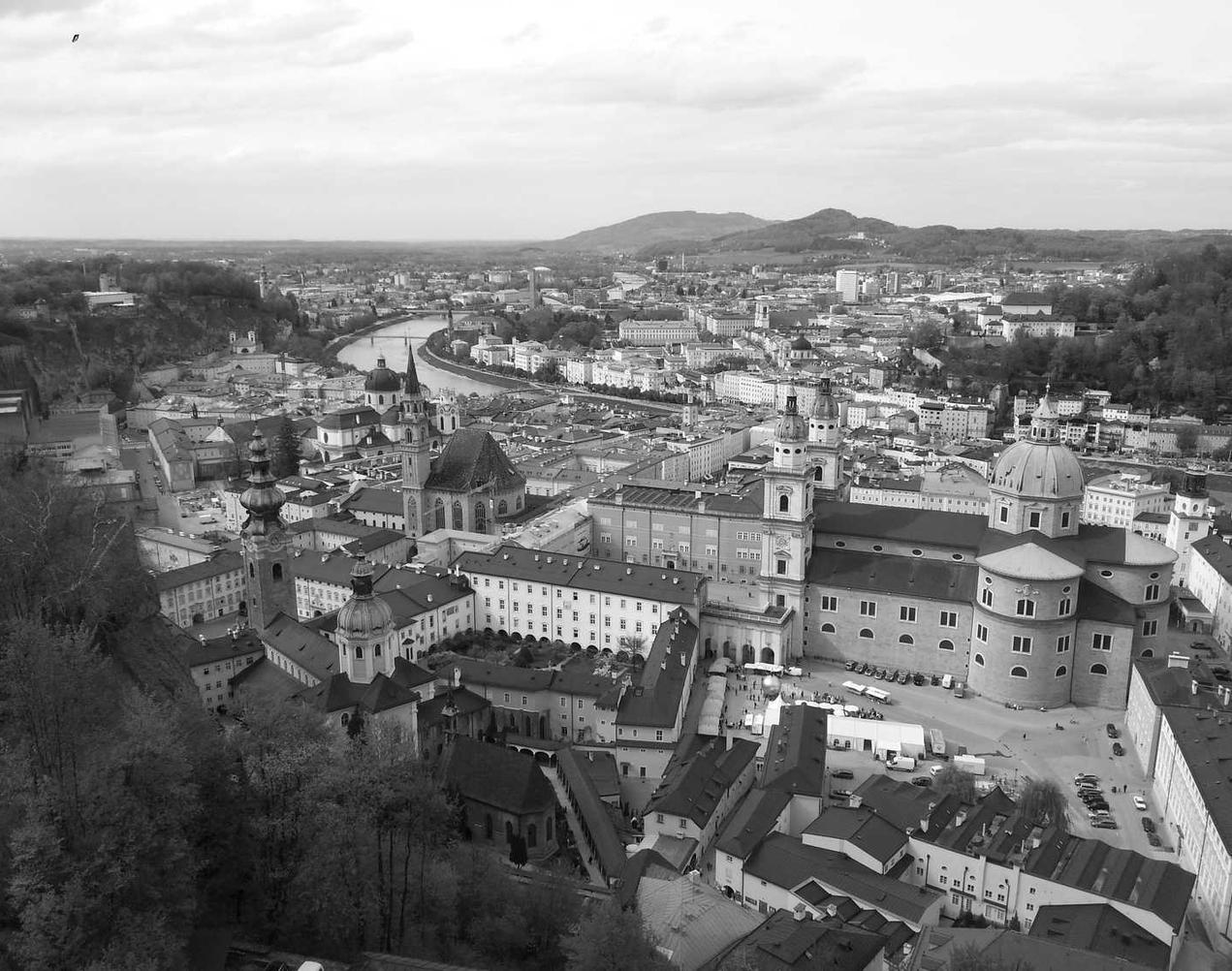 豌豆ip实名账号：流量卡与农业、林业和渔业的质量和效率提升