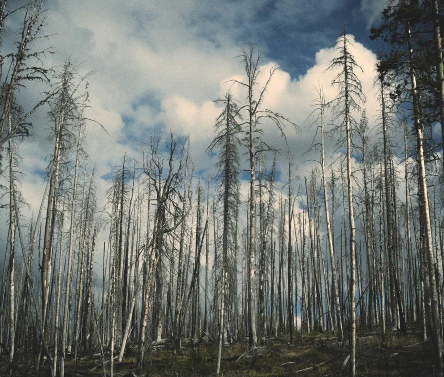 卖vx的网站：代理服务企业注册