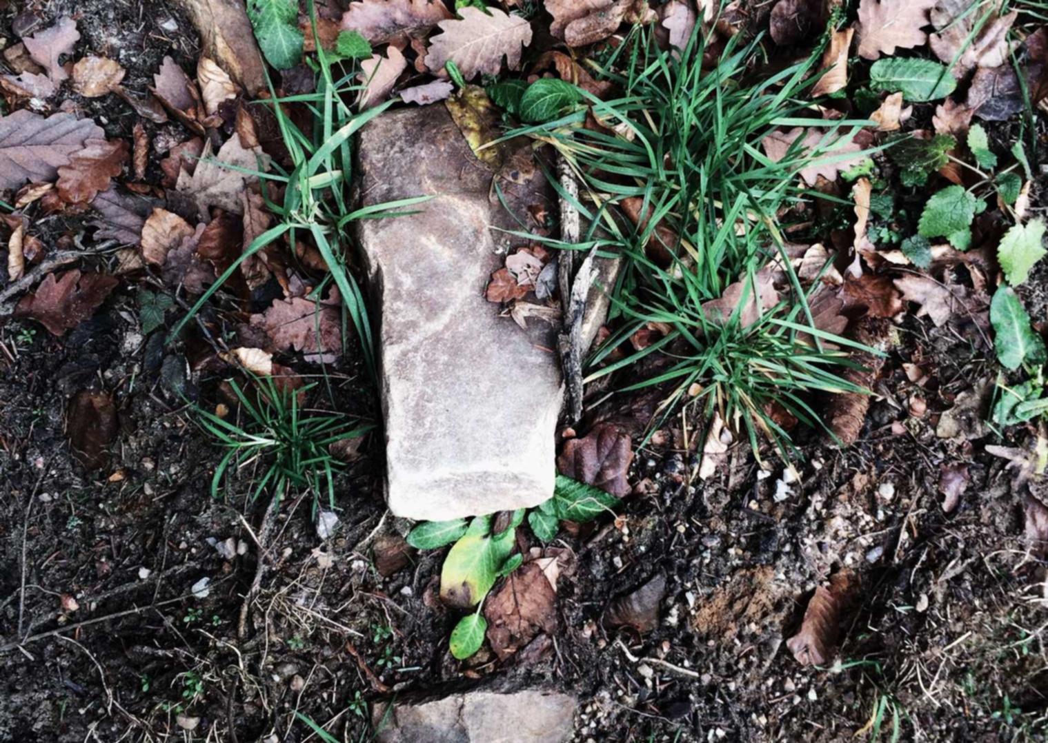 网门app详情下载教程