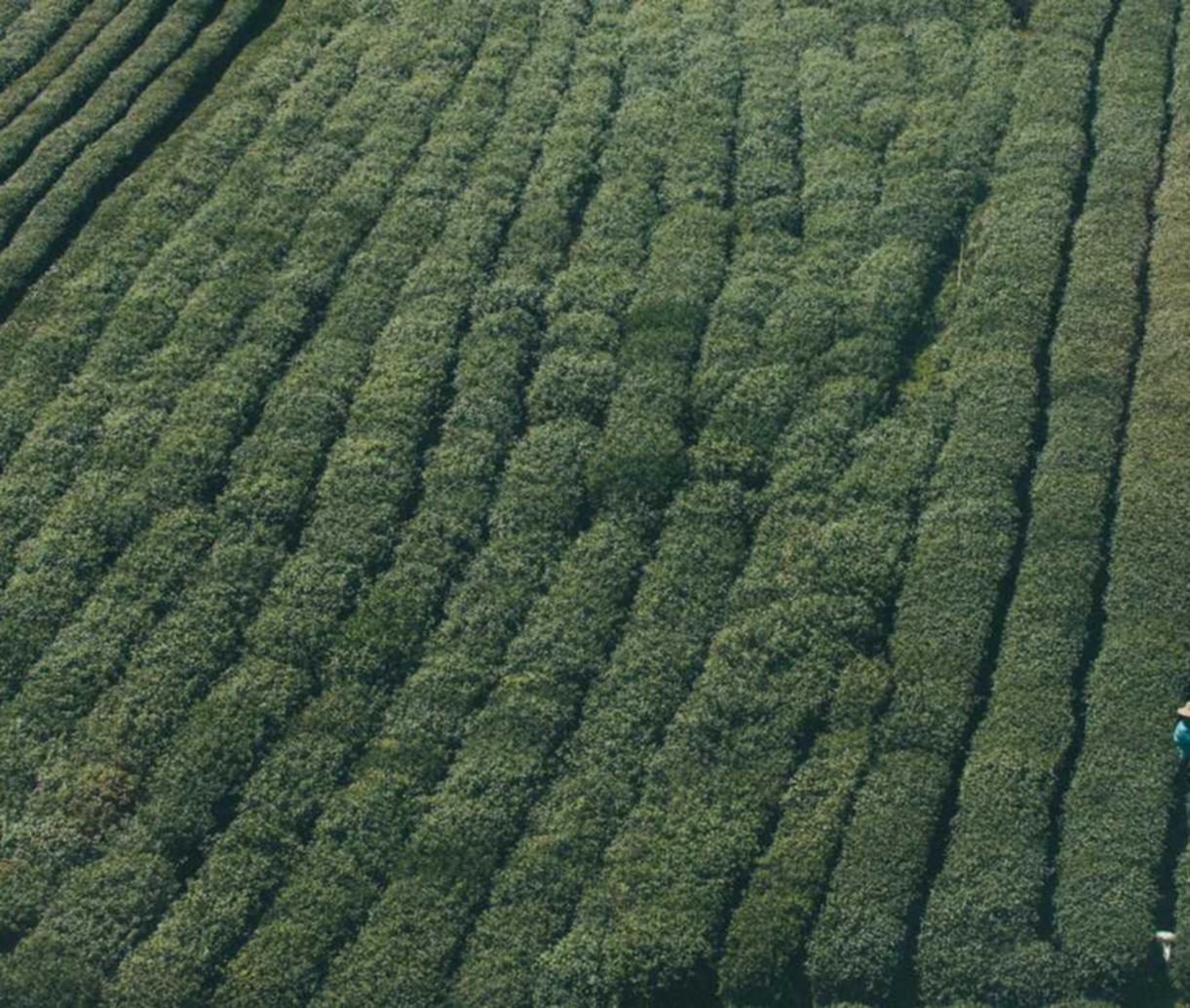 绑卡微信号买卖:如何保证实名账号的安全性?