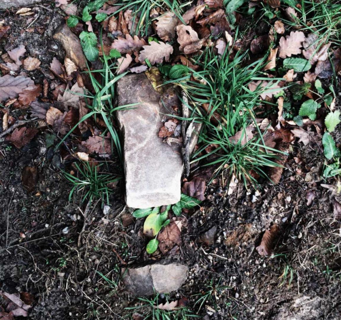 在线双语服务团队：东莞线上注册商标代理