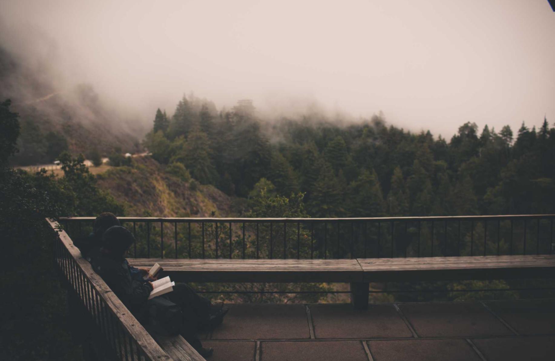 珍爱网实名账号：湛江智能机器人代理平台